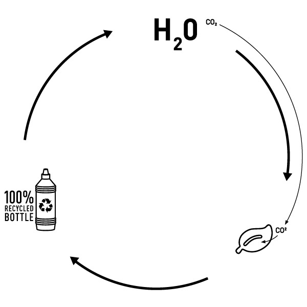 A scematic showing the life cycle of the spin bioethanol and its renewable raw material