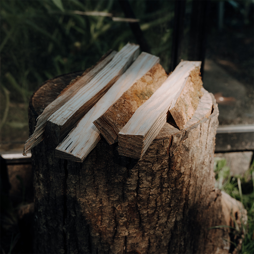 Ein Stück Brennholz auf einem Baumstamm